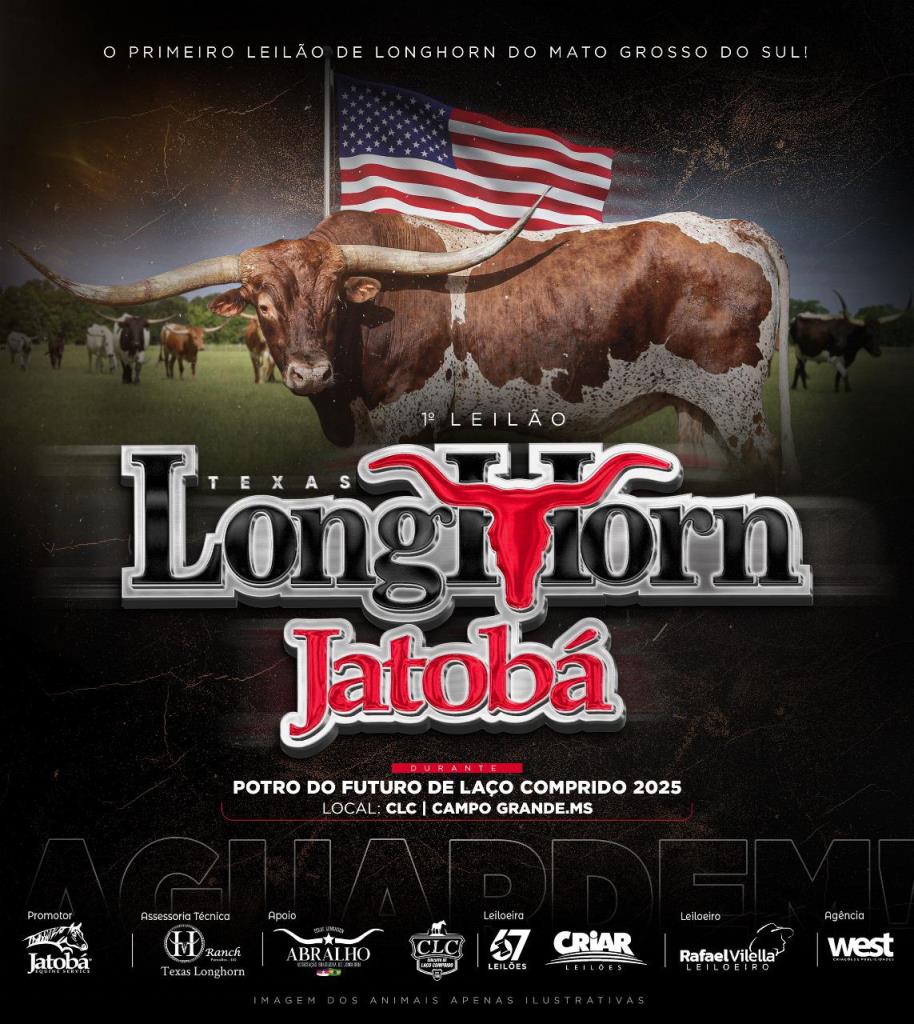Longhorn Cerca De Minull