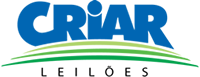 Criar Leilões