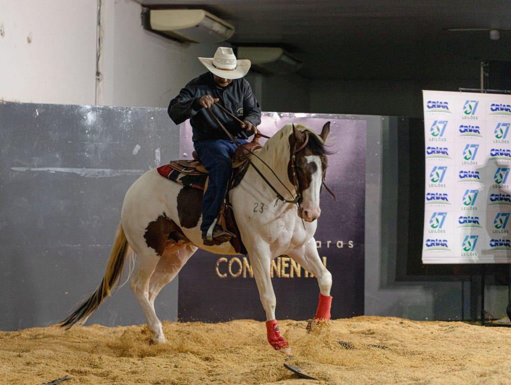 Leilão Fazenda e Haras Continental ultrapassa R$ 2 milhões e reforça valorização do Paint Horse no Brasil
