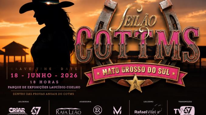 Leilão COTMS 2026 reúne genética de ponta, animais prontos e grandes expectativas para o mercado do Quarto de Milha